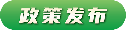 政策发布